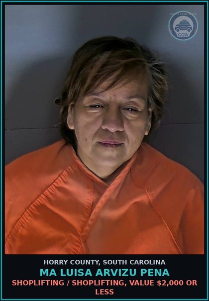 CCW arrest card for Ma Luisa Arvizu Pena in Horry County: Shoplifting / Shoplifting, value $2,000 or less