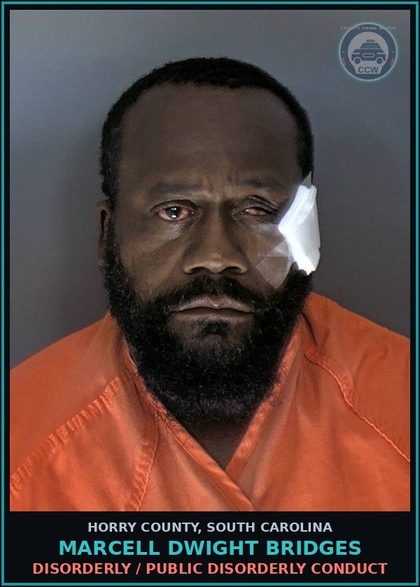 CCW arrest card for Marcell Dwight Bridges in Horry County: Domestic / Domestic Violence, 3rd degree