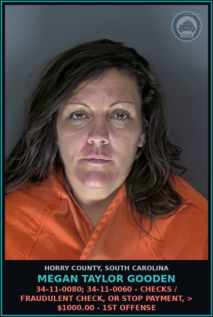 CCW arrest card for Megan Taylor Gooden in Horry County: RSG / Receiving stolen goods, value $2,000 or less