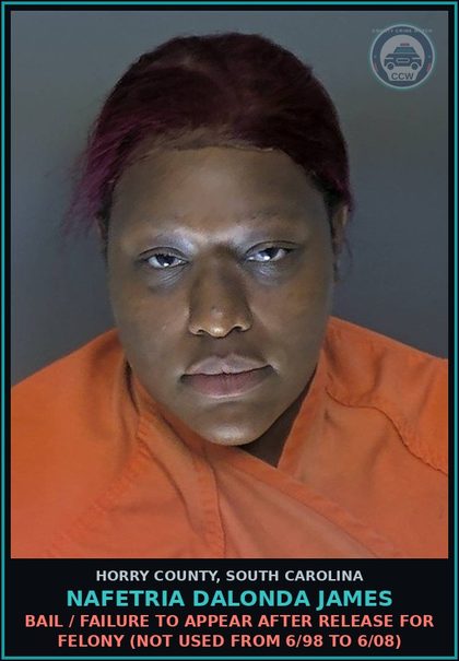 CCW arrest card for Nafetria Dalonda James in Horry County: Bail / Failure to appear after release for Felony (not used from 6/98 to 6/08)