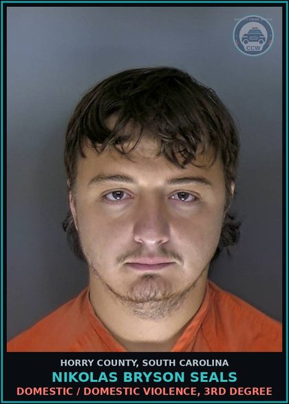 CCW arrest card for Nikolas Bryson Seals in Horry County: Domestic / Domestic Violence, 3rd degree