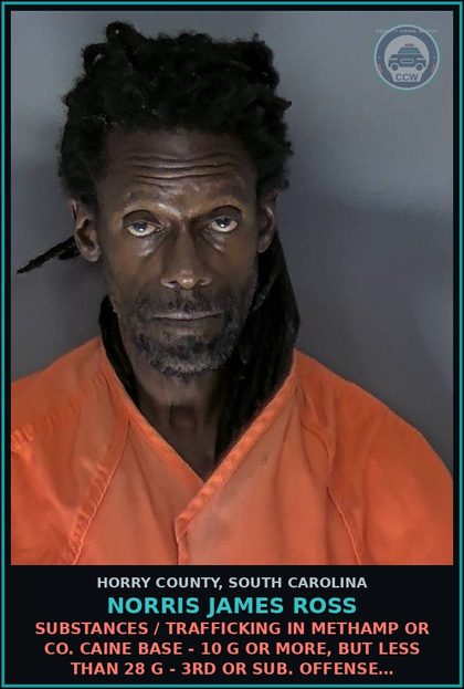 CCW arrest card for Norris James Ross in Horry County: Drugs / Trafficking in meth or cocaine base - 10 g or more, but less than 28 g - 3rd or sub. offense…