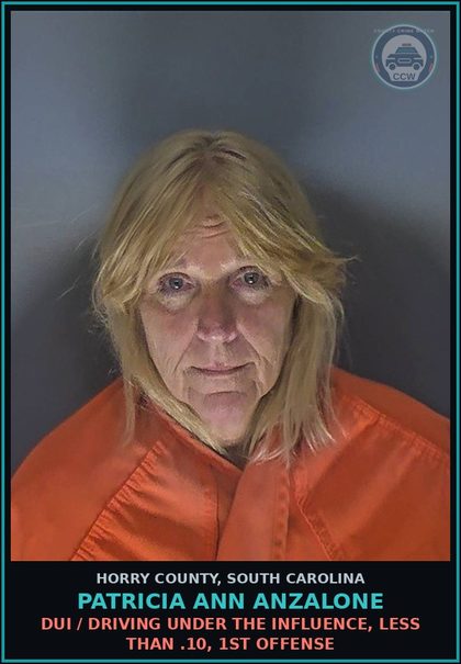 CCW arrest card for Patricia Ann Anzalone in Horry County: DUI / Driving under the Influence, less than .10, 1st Offense