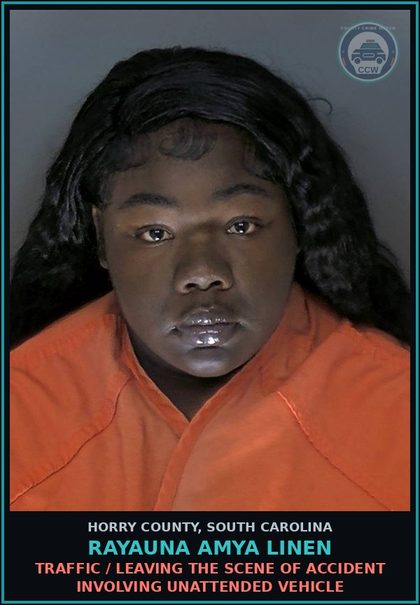 CCW arrest card for Rayauna Amya Linen in Horry County: Traffic / Leaving the scene of accident involving unattended vehicle