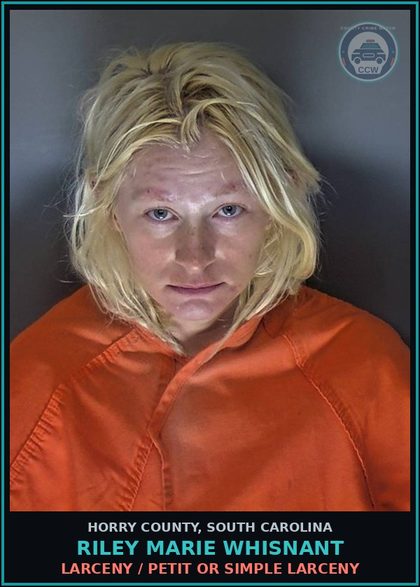 CCW arrest card for Riley Marie Whisnant in Horry County: Larceny / Petit or Simple Larceny