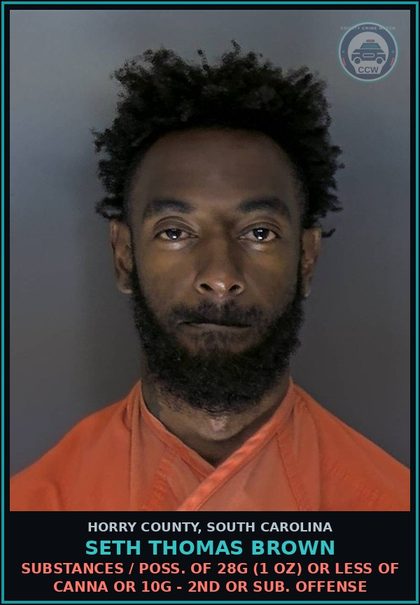CCW arrest card for Seth Thomas Brown in Horry County: Drugs / Poss. of 28g (1 oz) or less of Canna or 10g - 2nd or sub. Offense