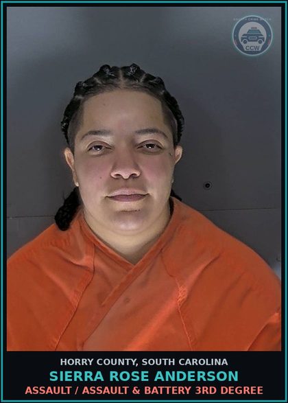 CCW arrest card for Sierra Rose Anderson in Horry County: Assault / Assault & Battery 3rd degree