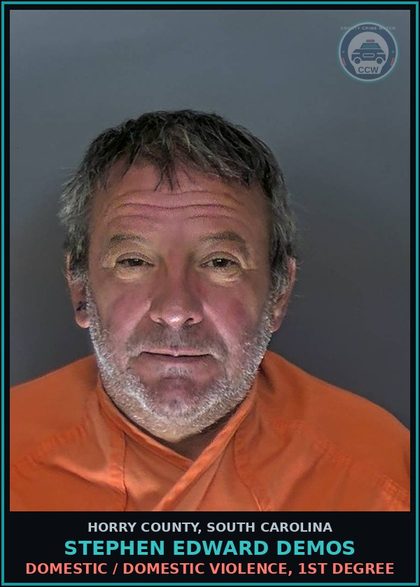 CCW arrest card for Stephen Edward Demos in Horry County: Domestic / Domestic Violence, 1st degree