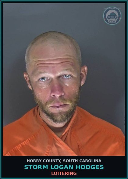 CCW arrest card for Storm Logan Hodges in Horry County: Loitering