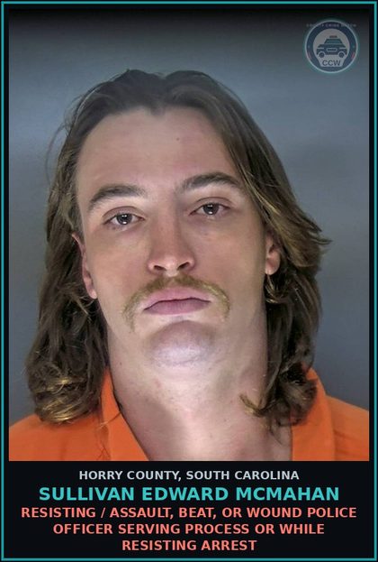 CCW arrest card for Sullivan Edward Mcmahan in Horry County: Resisting / Assault, beat, or wound police officer serving process or while resisting arrest