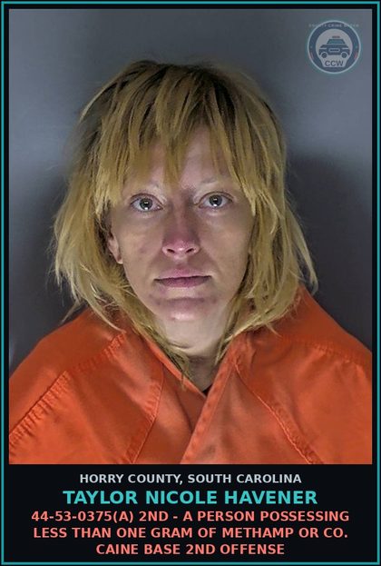 CCW arrest card for Taylor Nicole Havener in Horry County: 44-53-0375(A) 2nd - A person possessing less than one gram of Methamp or cocaine base 2nd offense