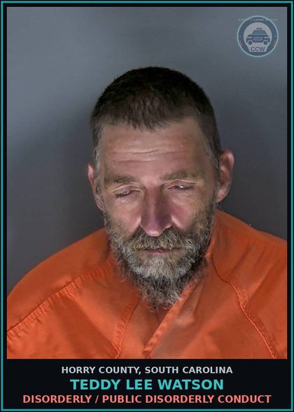 CCW arrest card for Teddy Lee Watson in Horry County: Disorderly / Public disorderly conduct