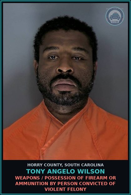 CCW arrest card for Tony Angelo Wilson in Horry County: Drugs / Possession of less than one gram of ice, crank, or crack cocaine - 1st offense