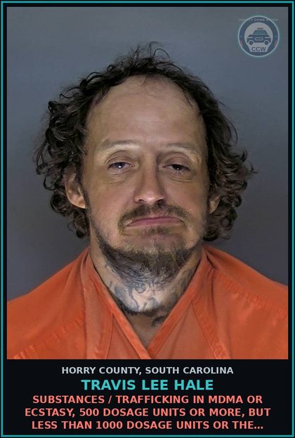 CCW arrest card for Travis Lee Hale in Horry County: Loitering
