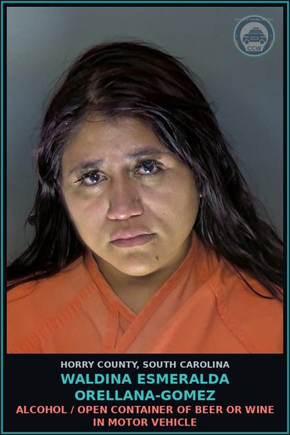 CCW arrest card for Waldina Esmeralda Orellana-Gomez in Horry County: Alcohol / Open container of beer or wine in motor vehicle