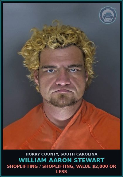 CCW arrest card for William Aaron Stewart in Horry County: Shoplifting / Shoplifting, value $2,000 or less