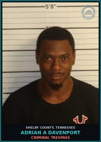 CCW arrest card for ADRIAN A DAVENPORT in Shelby County: CRIMINAL TRESPASS