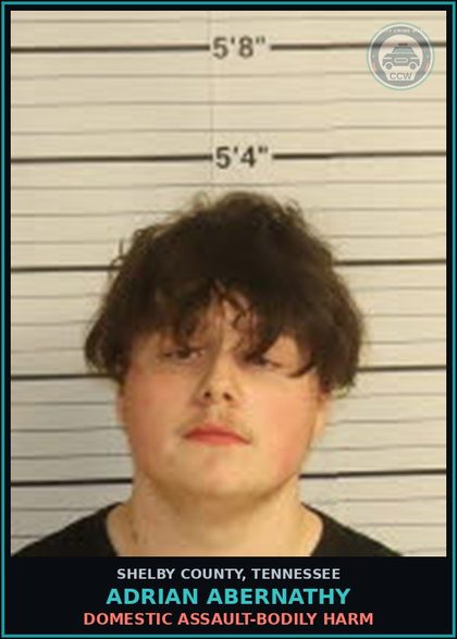 CCW arrest card for ADRIAN ABERNATHY in Shelby County: DOMESTIC ASSAULT-BODILY HARM