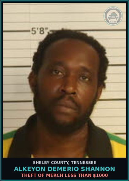 CCW arrest card for ALKEYON DEMERIO SHANNON in Shelby County: THEFT OF MERCH LESS THAN $1000