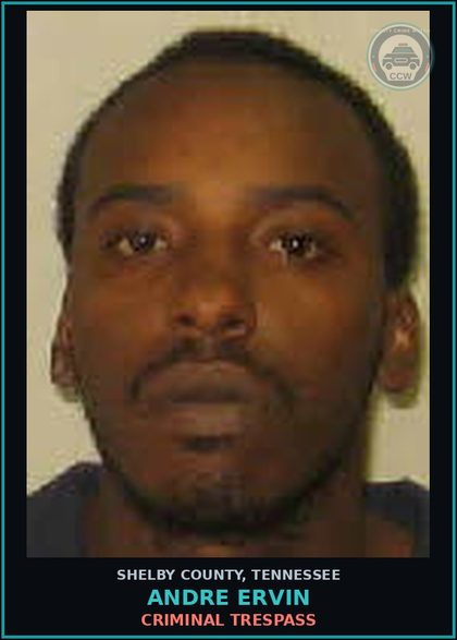 CCW arrest card for ANDRE ERVIN in Shelby County: CRIMINAL TRESPASS