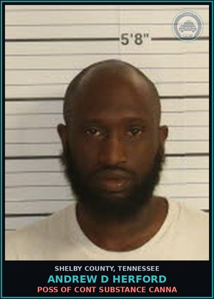 CCW arrest card for ANDREW D HERFORD in Shelby County: DISOBEDIENCE TO TRAFFIC CONTROL DEV