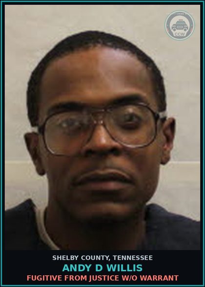 CCW arrest card for ANDY D WILLIS in Shelby County: FUGITIVE FROM JUSTICE W/O WARRANT