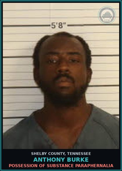 CCW arrest card for ANTHONY BURKE in Shelby County: UPCS-W/I METH