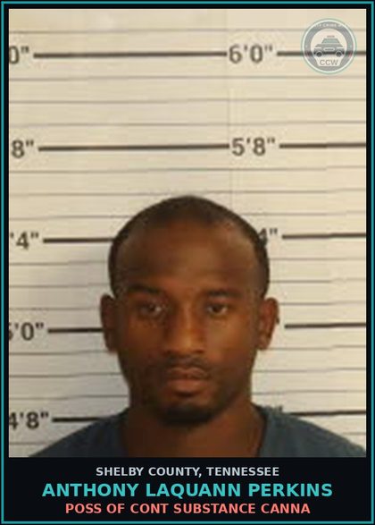 CCW arrest card for ANTHONY LAQUANN PERKINS in Shelby County: DISREGARDING RED LIGHT M