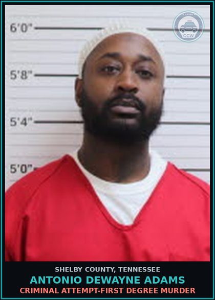 CCW arrest card for ANTONIO DEWAYNE ADAMS in Shelby County: CRIMINAL ATTEMPT-FIRST DEGREE MURDER
