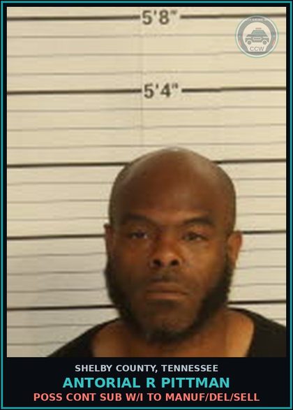 CCW arrest card for ANTORIAL R PITTMAN in Shelby County: POSS CONT SUB W/I TO MANUF/DEL/SELL
