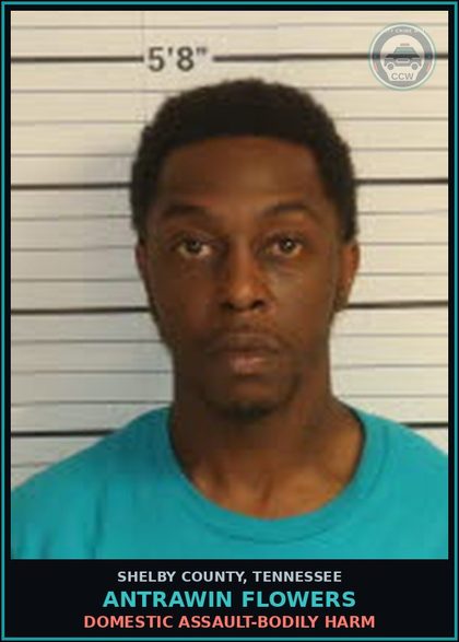 CCW arrest card for ANTRAWIN FLOWERS in Shelby County: DOMESTIC ASSAULT-BODILY HARM
