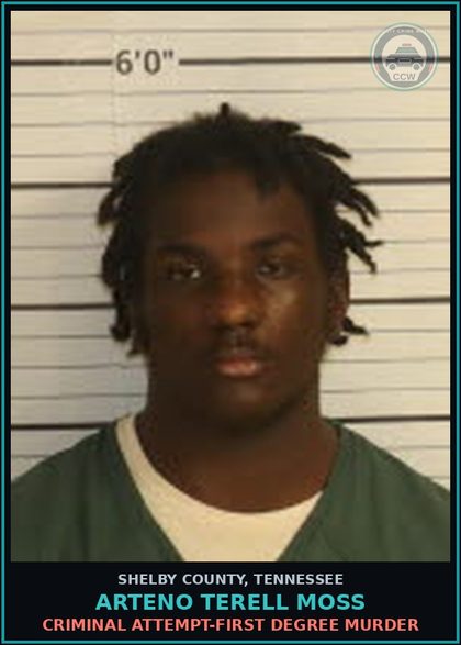 CCW arrest card for ARTENO TERELL MOSS in Shelby County: AGGRAVATED ASSAULT