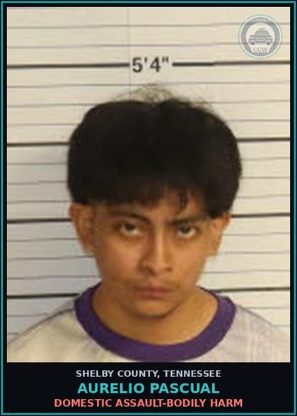CCW arrest card for AURELIO PASCUAL in Shelby County: DOMESTIC ASSAULT-BODILY HARM