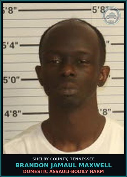 CCW arrest card for BRANDON JAMAUL MAXWELL in Shelby County: DOMESTIC ASSAULT-BODILY HARM
