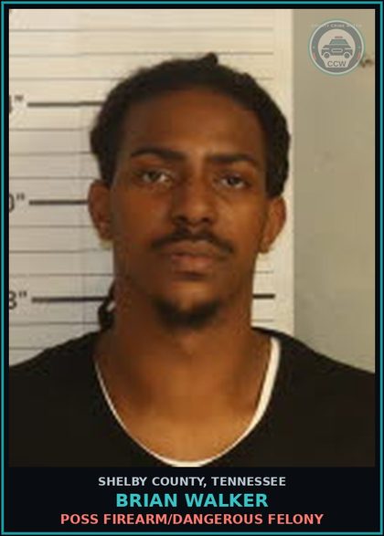 CCW arrest card for BRIAN WALKER in Shelby County: OPERATE CAR W/REFLECTORIZED WINDOWS