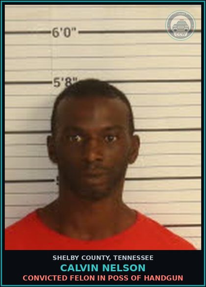 CCW arrest card for CALVIN NELSON in Shelby County: CONVICTED FELON IN POSS OF HANDGUN