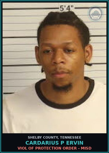 CCW arrest card for CARDARIUS P ERVIN in Shelby County: VIOL OF PROTECTION ORDER - MISD