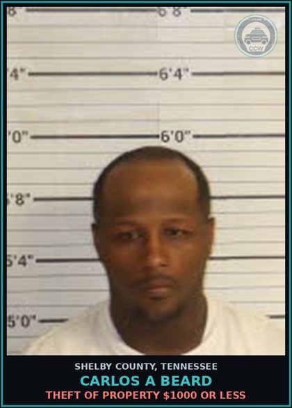 CCW arrest card for CARLOS A BEARD in Shelby County: THEFT OF PROPERTY $1000 OR LESS