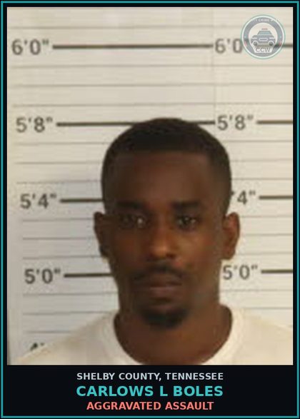 CCW arrest card for CARLOWS L BOLES in Shelby County: DOMESTIC ASSAULT-BODILY HARM