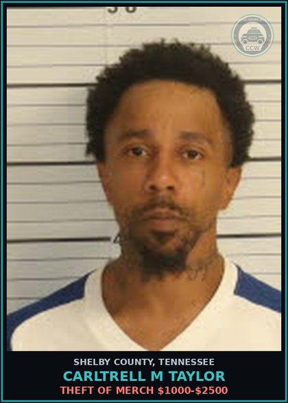 CCW arrest card for CARLTRELL M TAYLOR in Shelby County: THEFT OF MERCH $1000-$2500