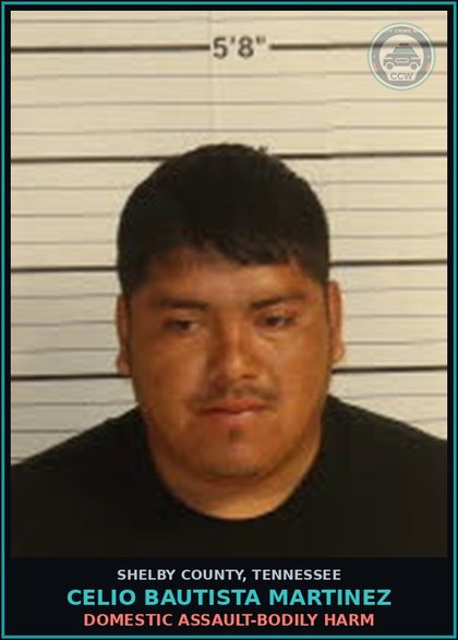 CCW arrest card for CELIO BAUTISTA MARTINEZ in Shelby County: DOMESTIC ASSAULT-BODILY HARM