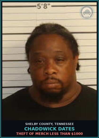 CCW arrest card for CHADDWICK DATES in Shelby County: THEFT OF MERCH LESS THAN $1000