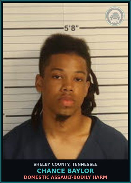 CCW arrest card for CHANCE BAYLOR in Shelby County: DOMESTIC ASSAULT-BODILY HARM