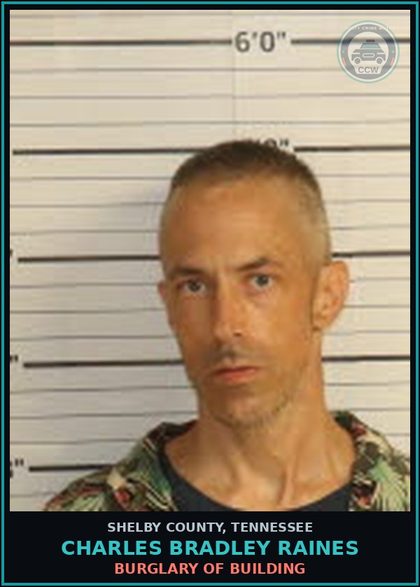 CCW arrest card for CHARLES BRADLEY RAINES in Shelby County: THEFT OF MERCH LESS THAN $1000