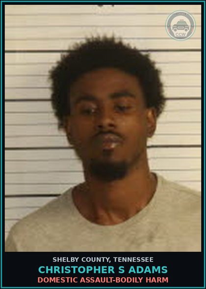 CCW arrest card for CHRISTOPHER S ADAMS in Shelby County: DOMESTIC ASSAULT-BODILY HARM
