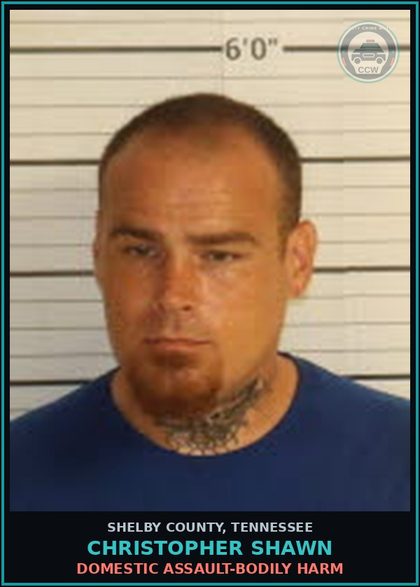CCW arrest card for CHRISTOPHER SHAWN in Shelby County: DOMESTIC ASSAULT-BODILY HARM