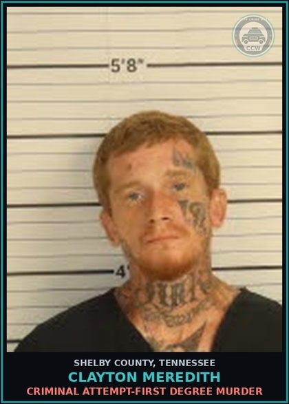 CCW arrest card for CLAYTON MEREDITH in Shelby County: DRIVING W/O LICENSE IN POSSESSION