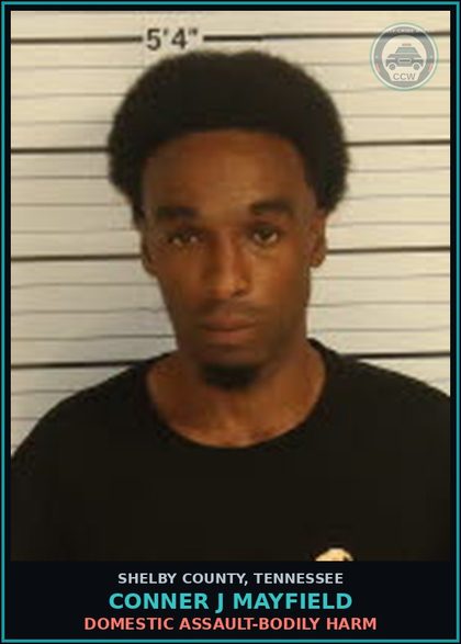 CCW arrest card for CONNER J MAYFIELD in Shelby County: DOMESTIC ASSAULT-BODILY HARM