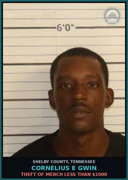 CCW arrest card for CORNELIUS E GWIN in Shelby County: THEFT OF MERCH LESS THAN $1000