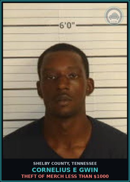 CCW arrest card for CORNELIUS E GWIN in Shelby County: THEFT OF MERCH LESS THAN $1000